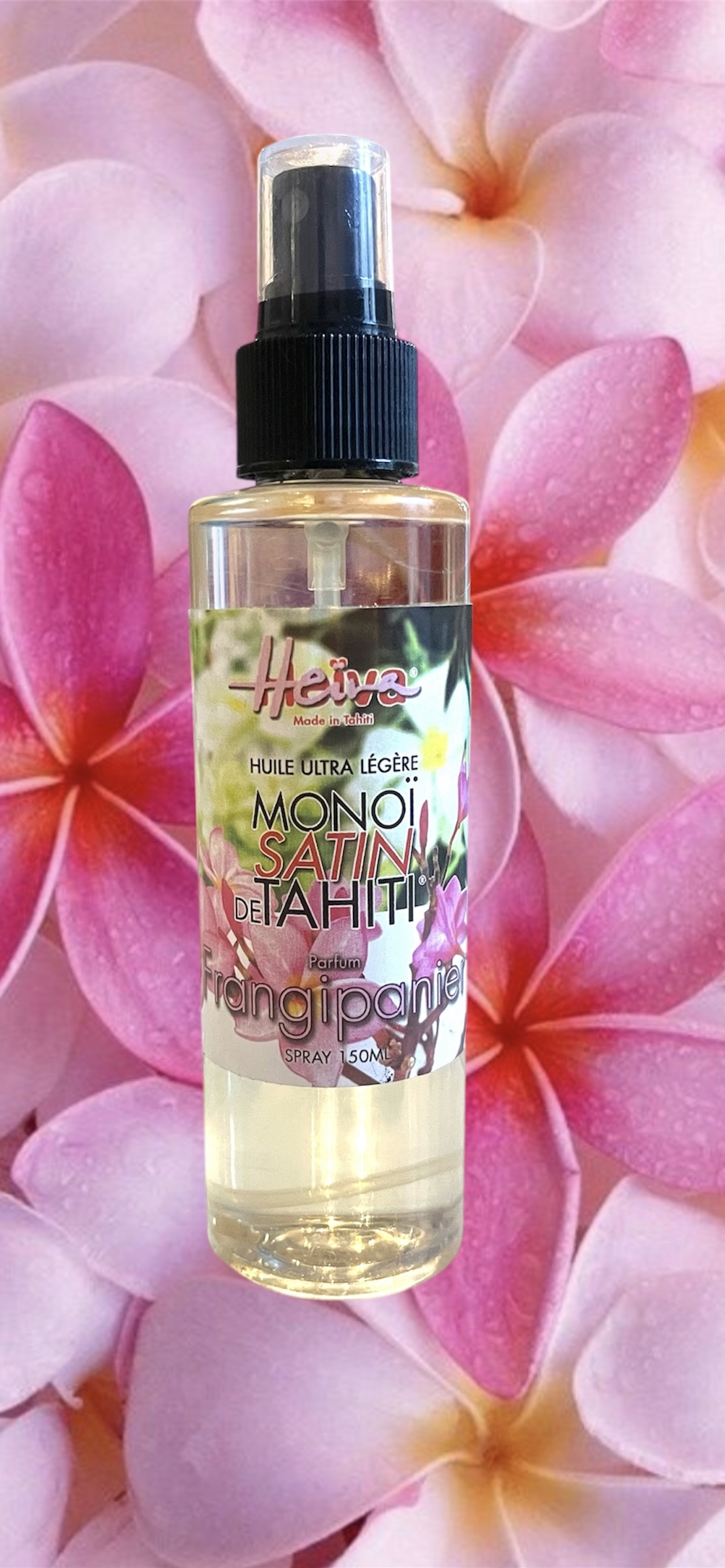 Photoroom_20251012_192023