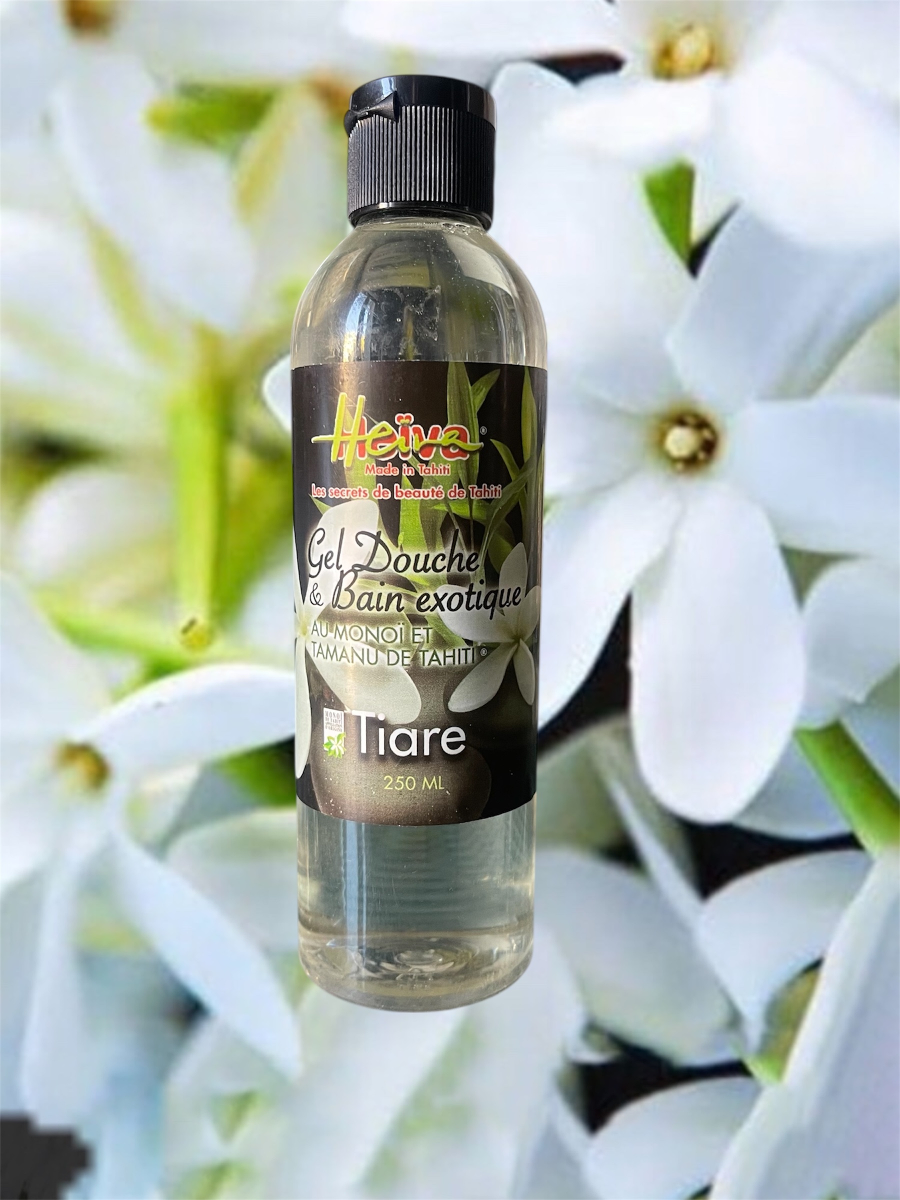 Photoroom_20251012_092413