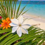 Fleur de tiare artificielle 9cm (tige) réf 17