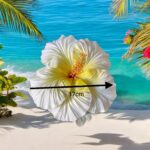 Fleur d’hibiscus blanche 17cm