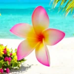 Fleur de Frangipanier rose blanche (artificielle)8cm réf 15